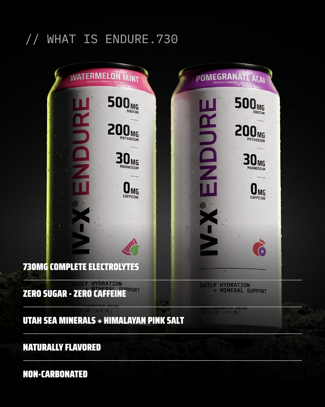 POMEGRANATE ACAI - ENDURE.730