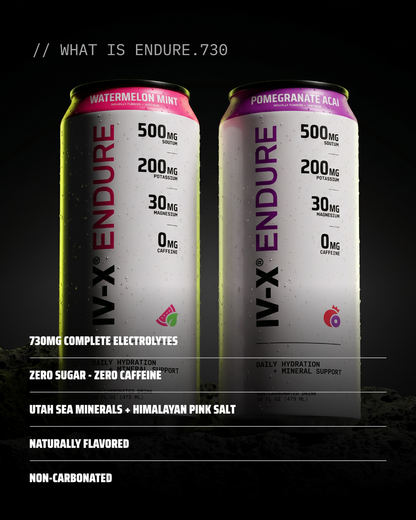 POMEGRANATE ACAI - ENDURE.730