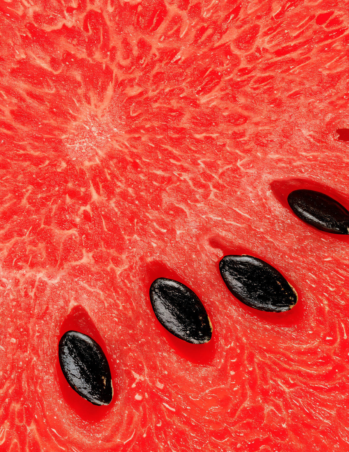 Watermelon Mint